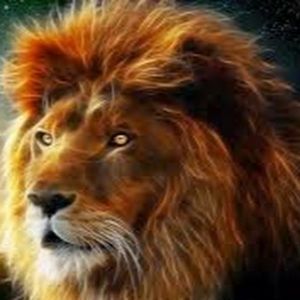 Meet your Posher, Ray